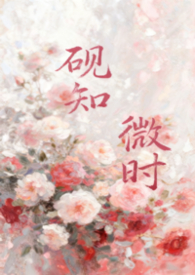 砚指什么